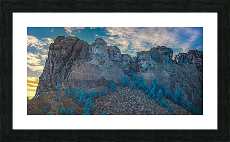 Hybrid Rushmore Picture Frame print