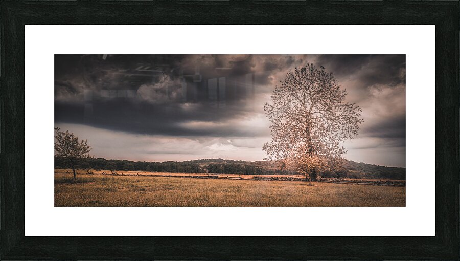 Lone Tree Storm Impression et Cadre photo