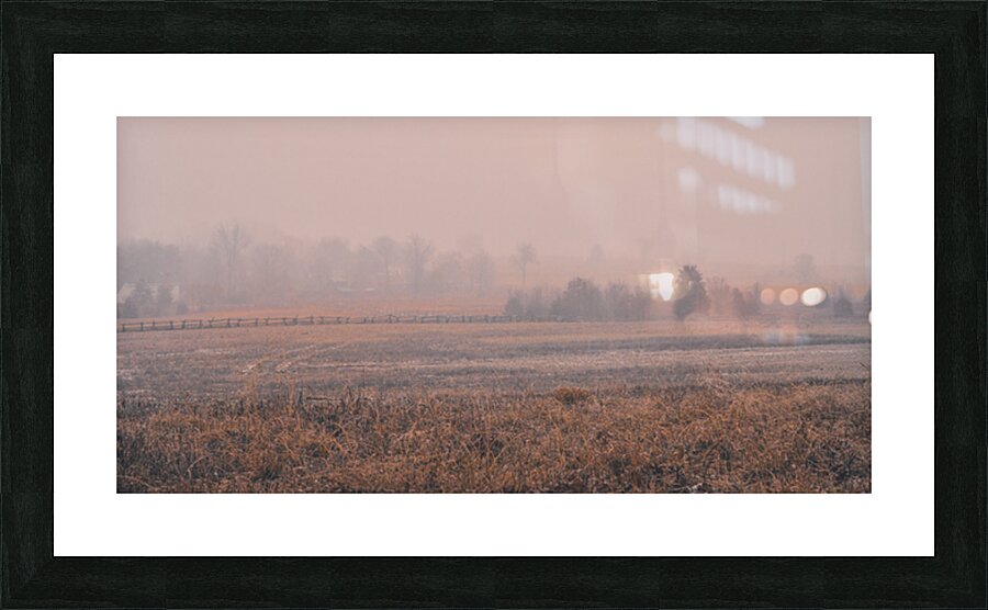 Hazel Field Picture Frame print