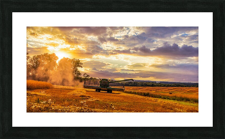 Harvest Gold Picture Frame print