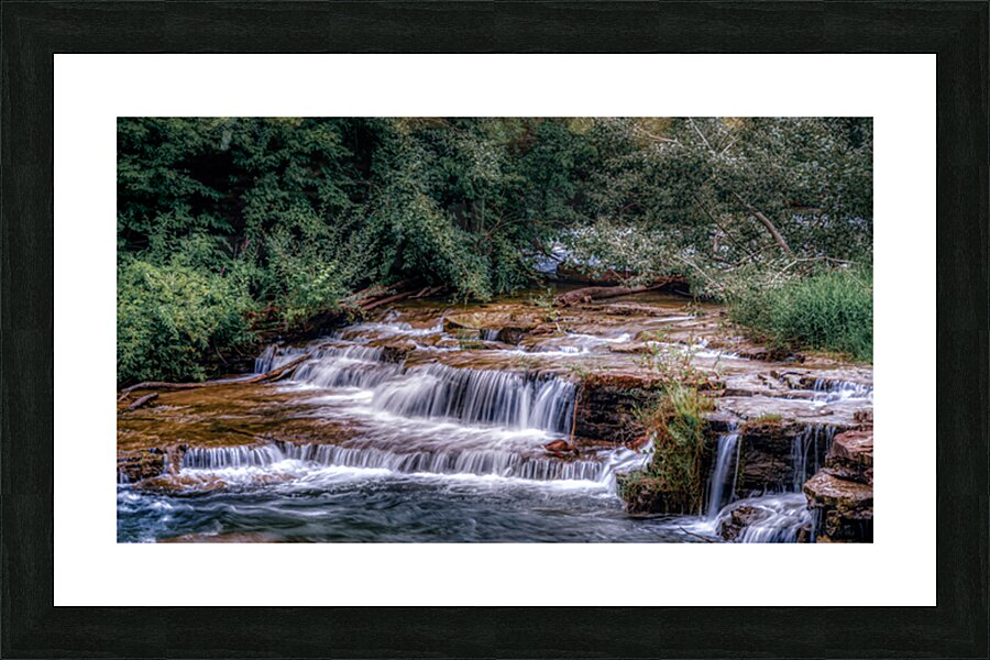 Tranquil Cascades: A Quaint Ducks Tale Upstream from Niagara Falls Picture Frame print