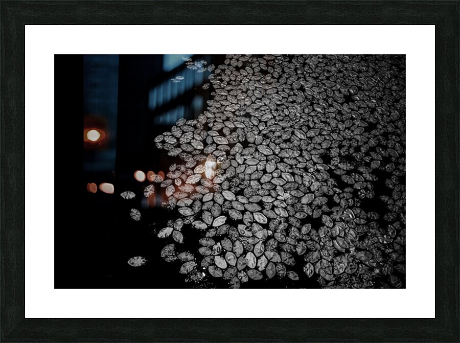 Lily Pad Dance Impression et Cadre photo