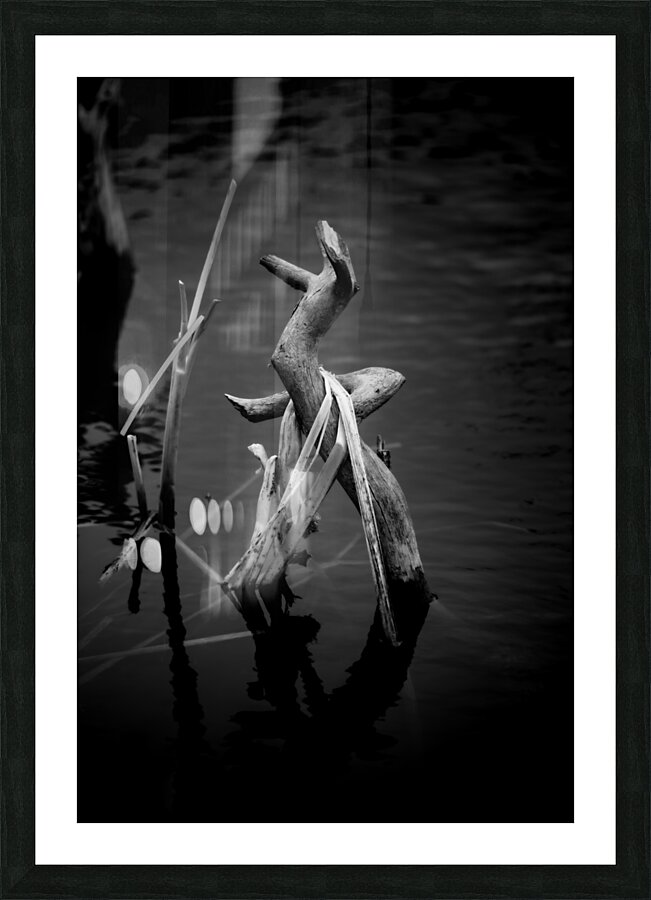 Serene Sylvan Lake: A Tale of Resilience and Reflection Picture Frame print