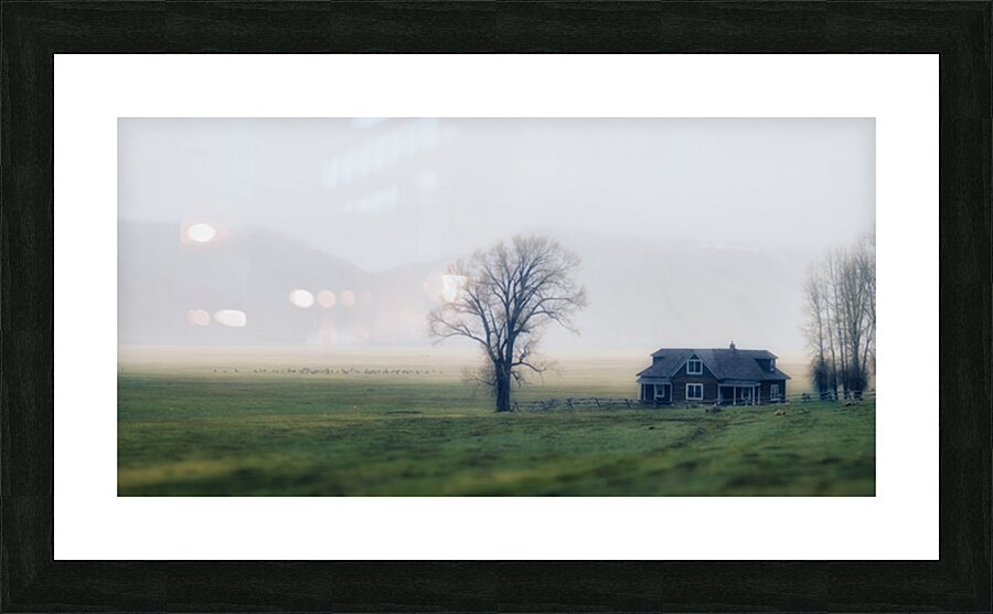 Whispers in the Mist Picture Frame print