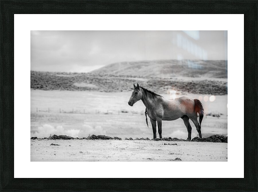 Solitary Majesty   Wind River Sentinel Picture Frame print