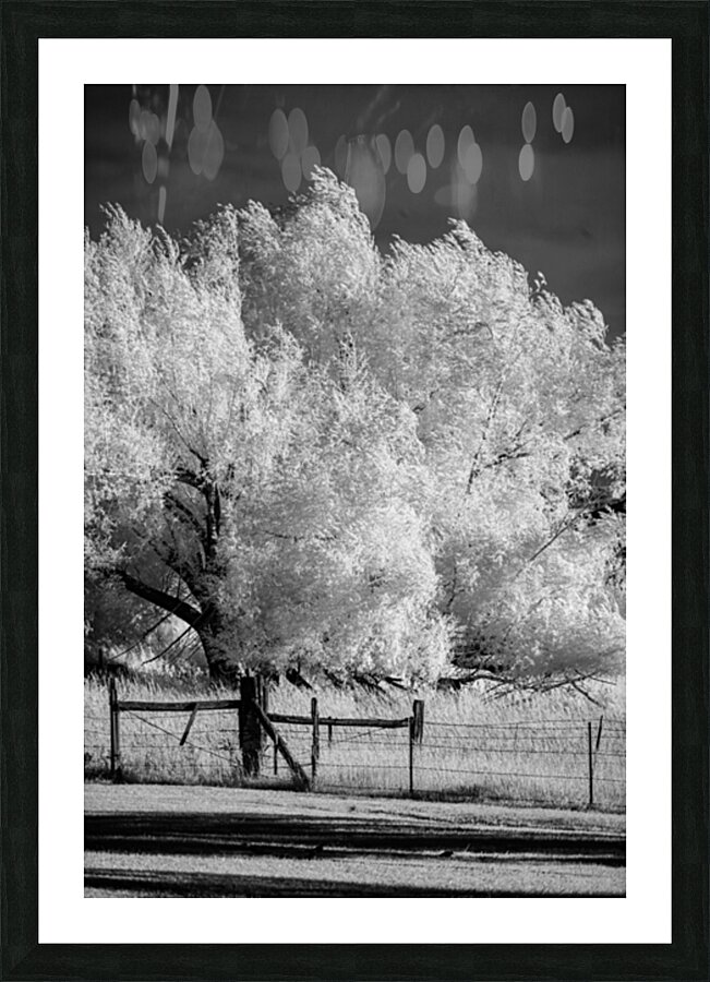 Luminous Guardians   Infrared Sentinels Picture Frame print