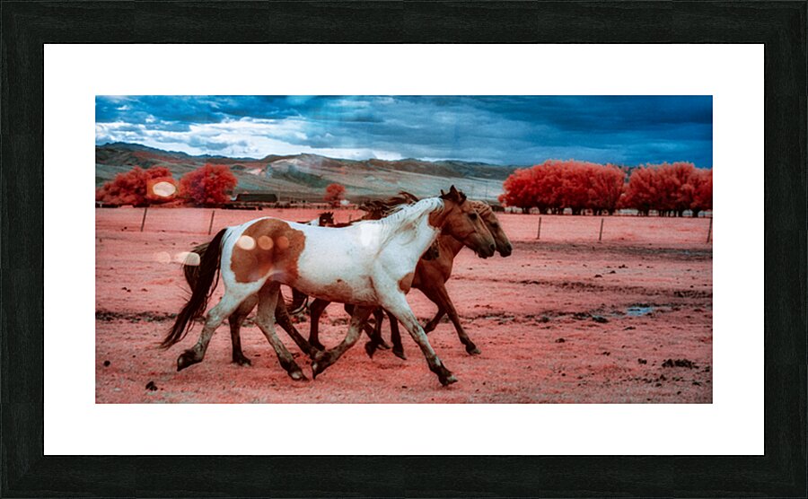 Thunders Dance   Wild Spirit Unleashed Picture Frame print