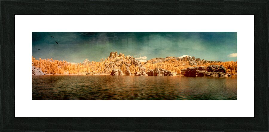 Sylvan Serenity: A Panoramic Odyssey at Custer State Park South Impression et Cadre photo