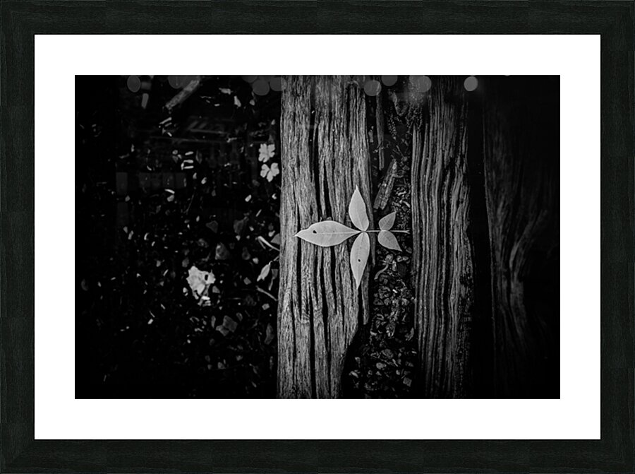 Step Above  Picture Frame print