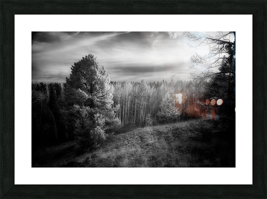 Mueller Aspen Series: Natures Finale Picture Frame print