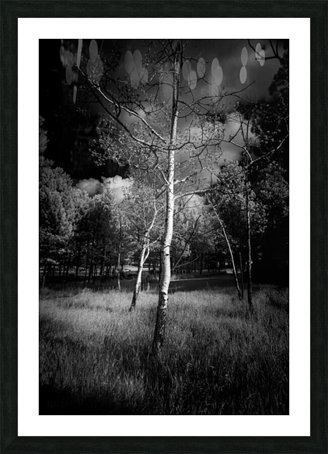 Aspen Reverie: Ansels Inspiration Picture Frame print