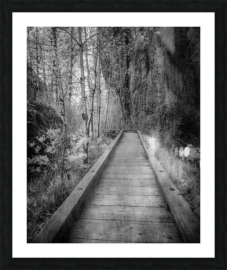 Mystical Journey: Sylvan Lake Wooden Trail in Infrared Picture Frame print