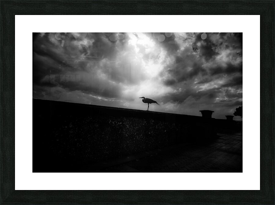 Rainy Day Stroll: Capturing Serenity with a Silhouetted Bird in  Impression et Cadre photo