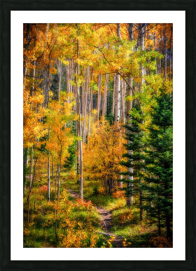 Elegy of Amber Leaves Impression et Cadre photo