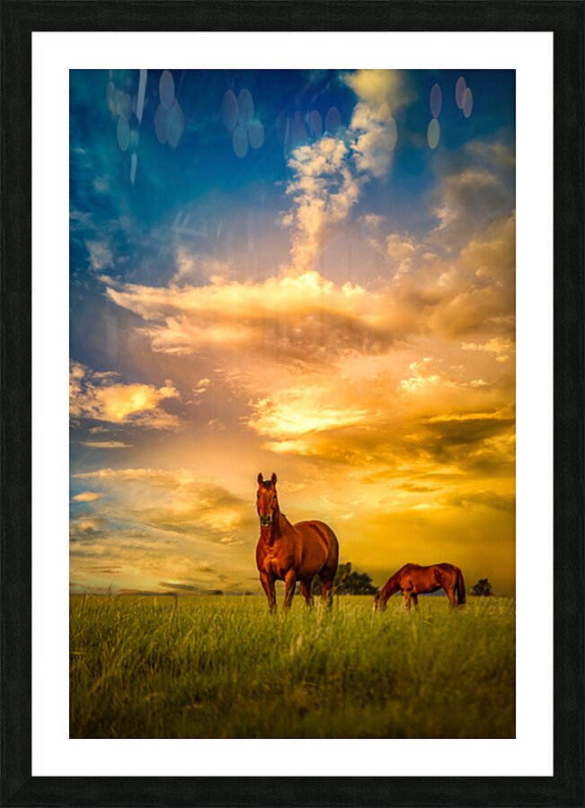 We Call Him Ernie: A Montana Ranch Tale Impression et Cadre photo