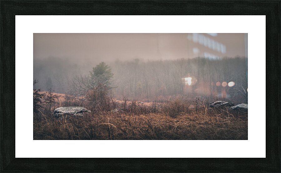 Winters Whispers Picture Frame print