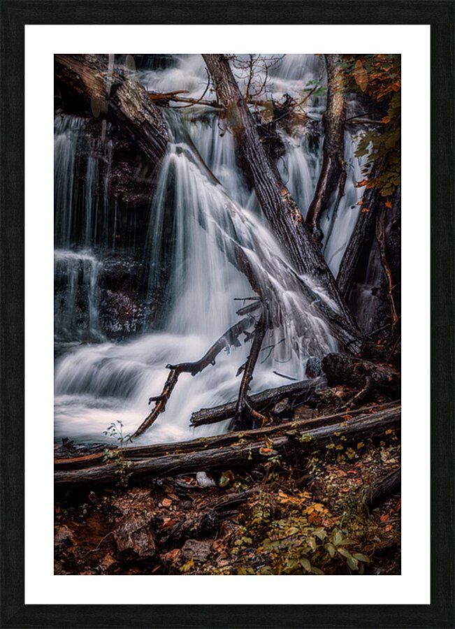 Liquid Light Through Natures Framework Picture Frame print