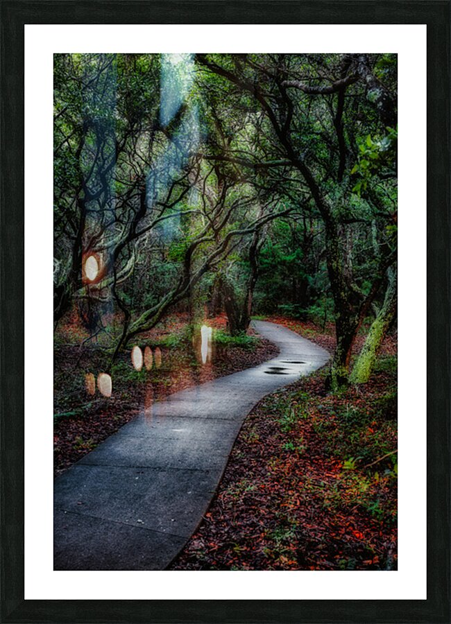 Melancholy Path Picture Frame print