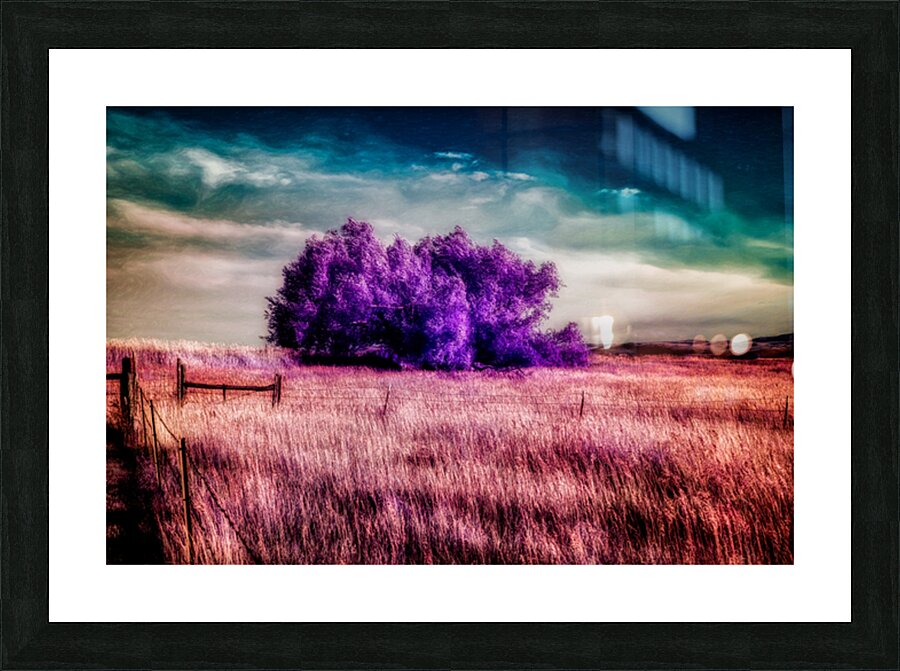 Amethyst Sanctuary Impression et Cadre photo