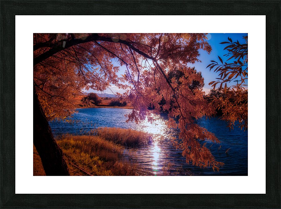 Copper Dreams at Lander Lake Picture Frame print
