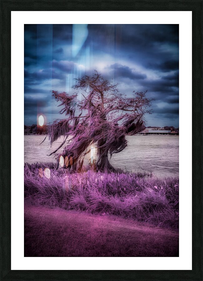 Purple Shelter: A Tranquil Stroll Through Venetian Gardens in Le Picture Frame print