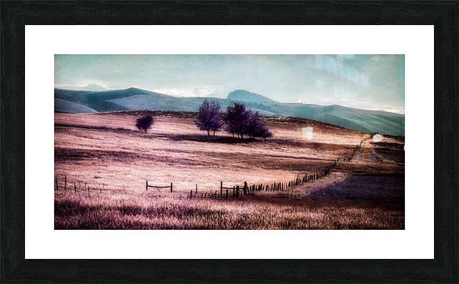 Lavender Dreams of the High Plains Picture Frame print