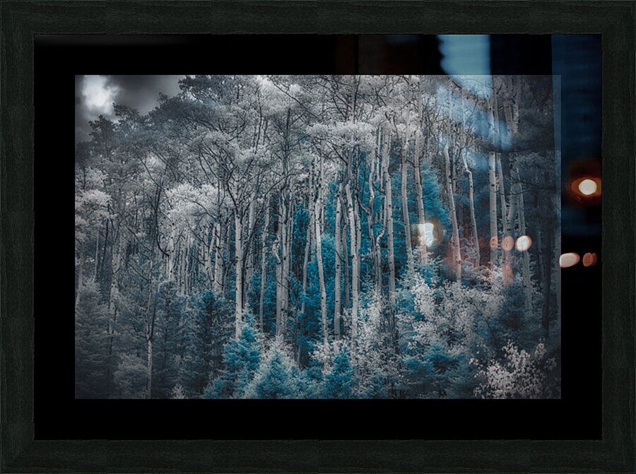 Ethereal Blue Amidst Monochrome Forest Impression et Cadre photo