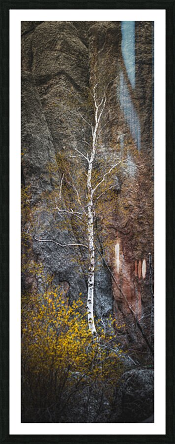 Spirit Tree of the Sacred Hills Picture Frame Printing