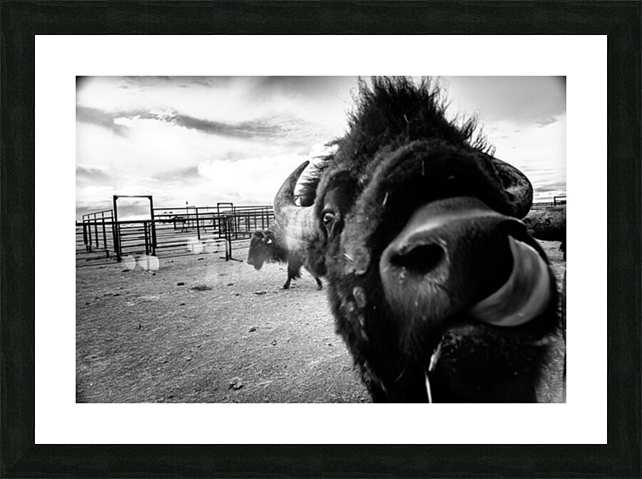 Hello! Impression et Cadre photo