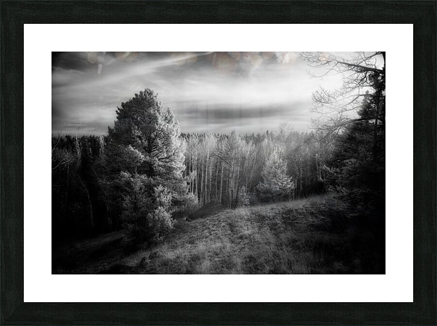 Mueller Aspen Series: Natures Finale Picture Frame print