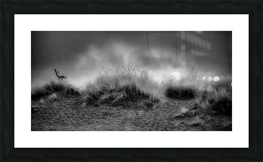 Contemplation Before the Storm Picture Frame print