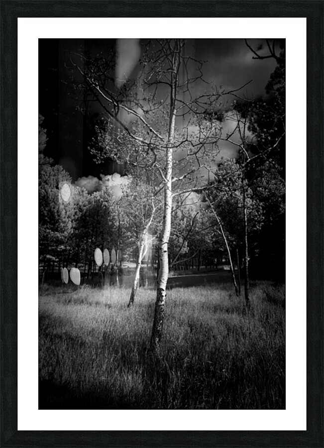 Aspen Reverie: Ansels Inspiration Picture Frame print
