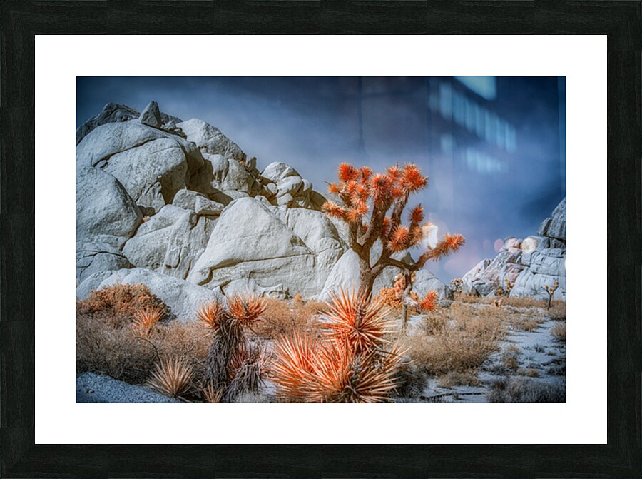 Desert Canvas of Fire and Stone Picture Frame print