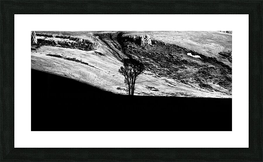 Solitary Sentinel Picture Frame print