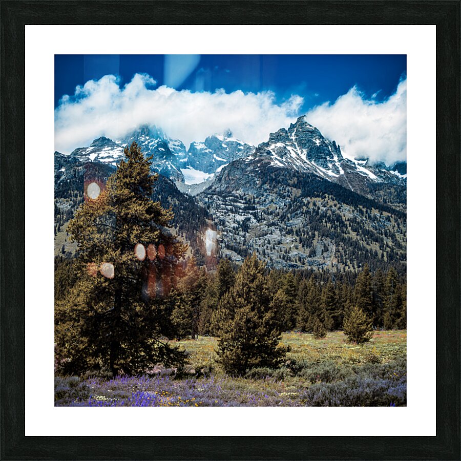 Teton Grandeur   Mountain Cathedra Picture Frame print