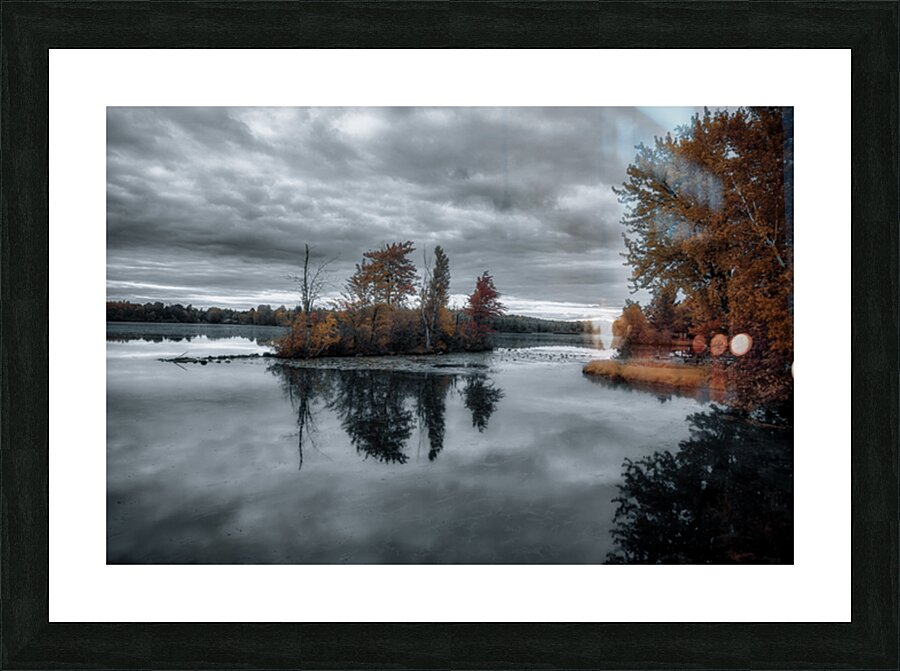 Autumns Floating Garden Picture Frame print