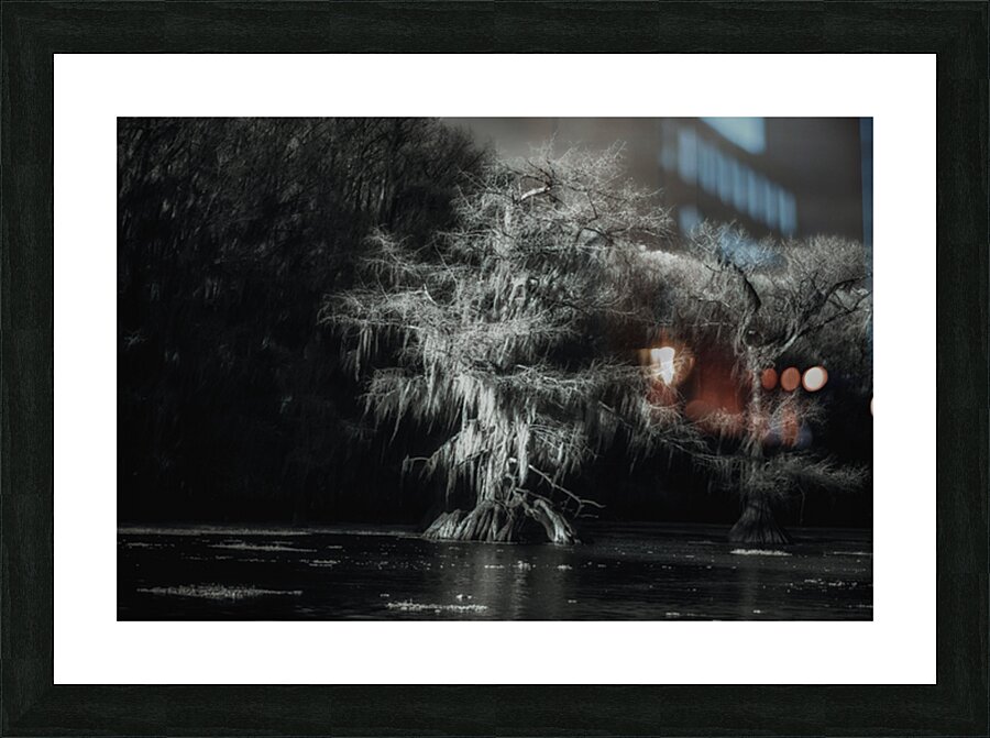 Luminous Spirits Picture Frame print