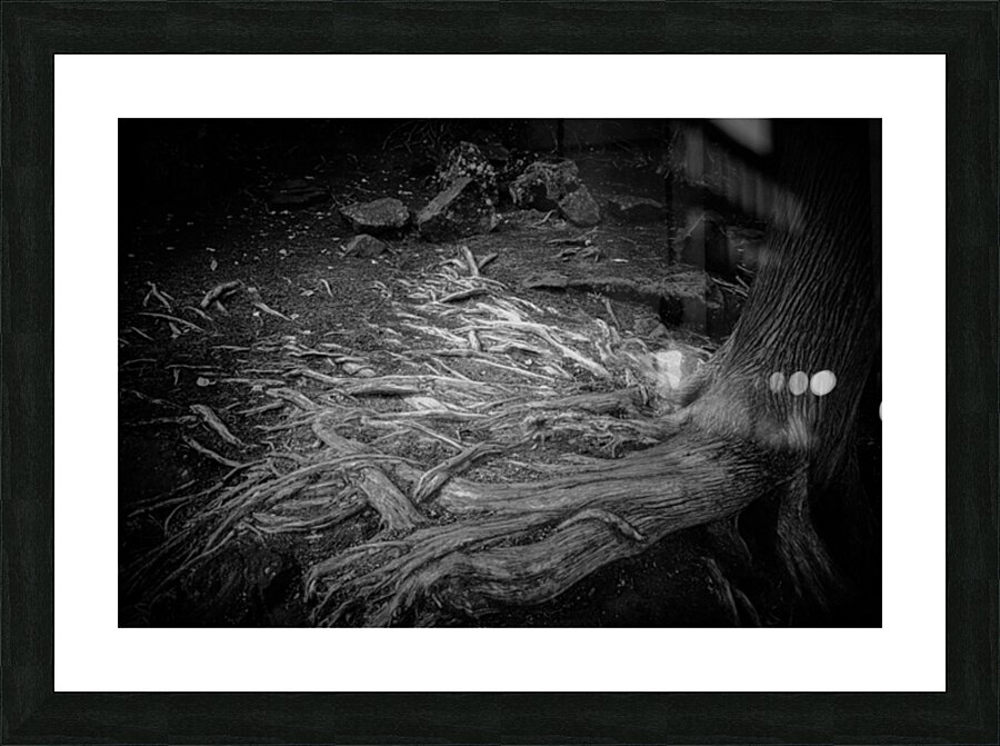 Sculptures of Time and Tide Picture Frame print