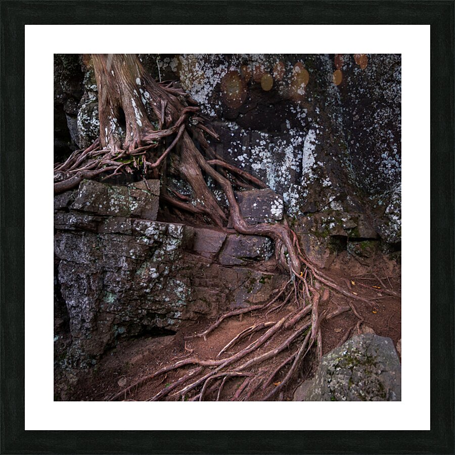 Ancient Bonds of Stone and Root Picture Frame print