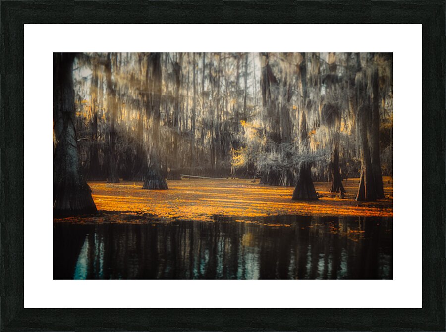 Amber Awakening Picture Frame print