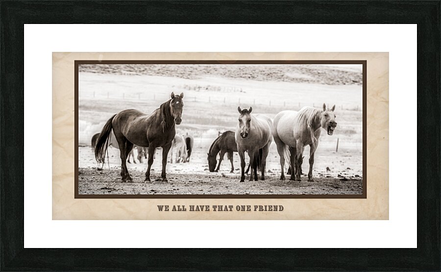 Wild Bonds  We All Have That One Friend Picture Frame print