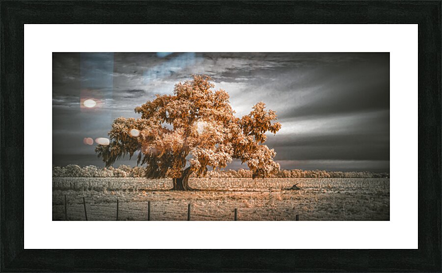 Guardian of the Bayou Country Impression et Cadre photo