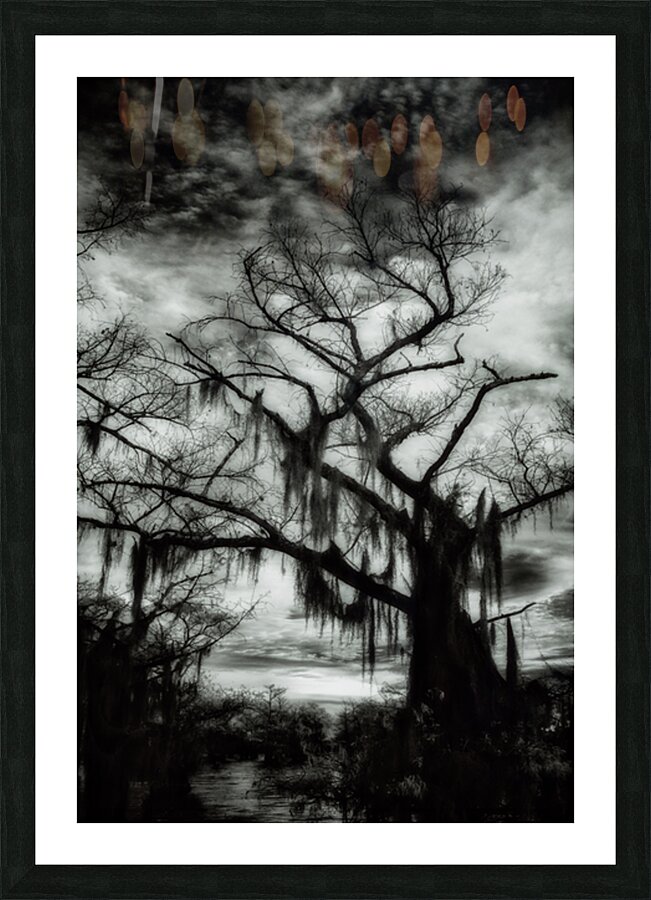 The Watcher Picture Frame print