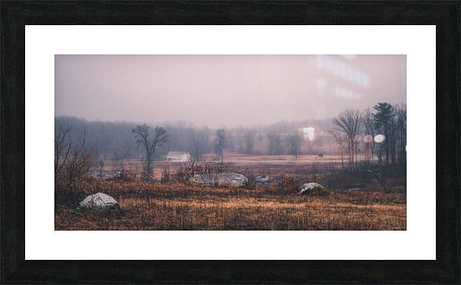 Chestnut Impression et Cadre photo