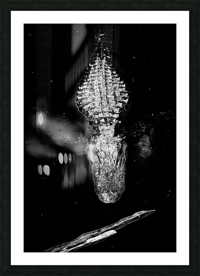 The Armor Beneath the Surface Picture Frame print