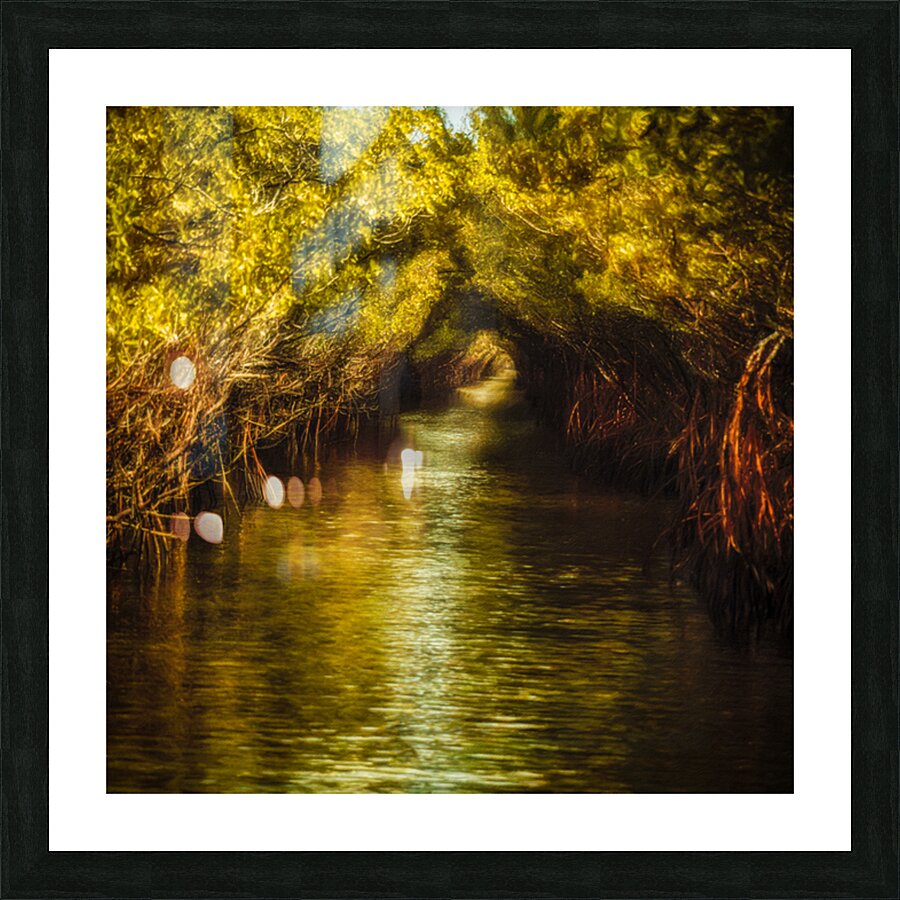 Tunnel of Ten Thousand Islands Picture Frame print