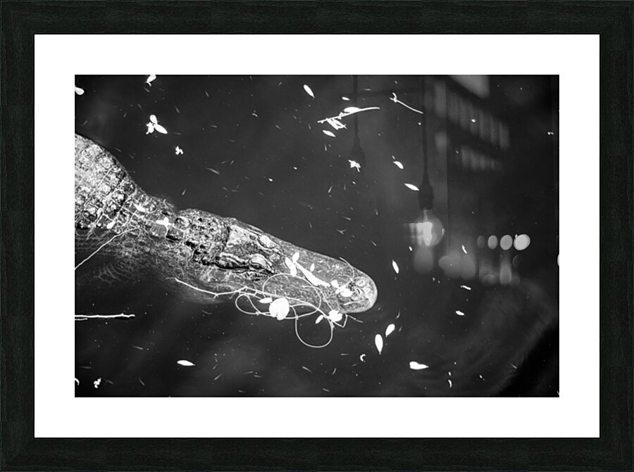 Drift Then Silence Picture Frame print