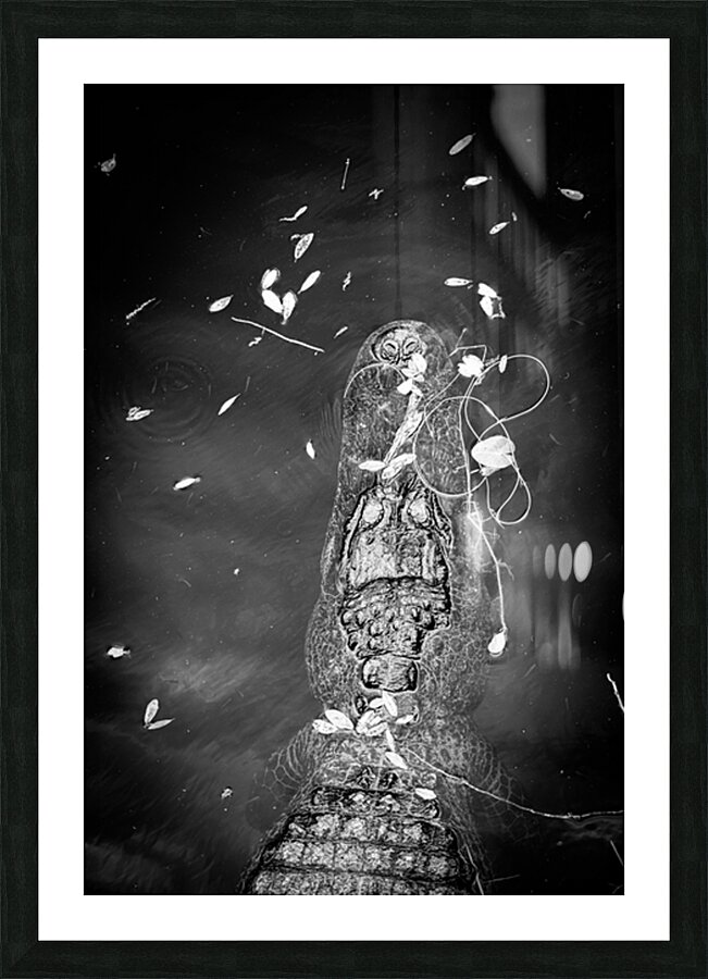 Stillness with Teeth Picture Frame print