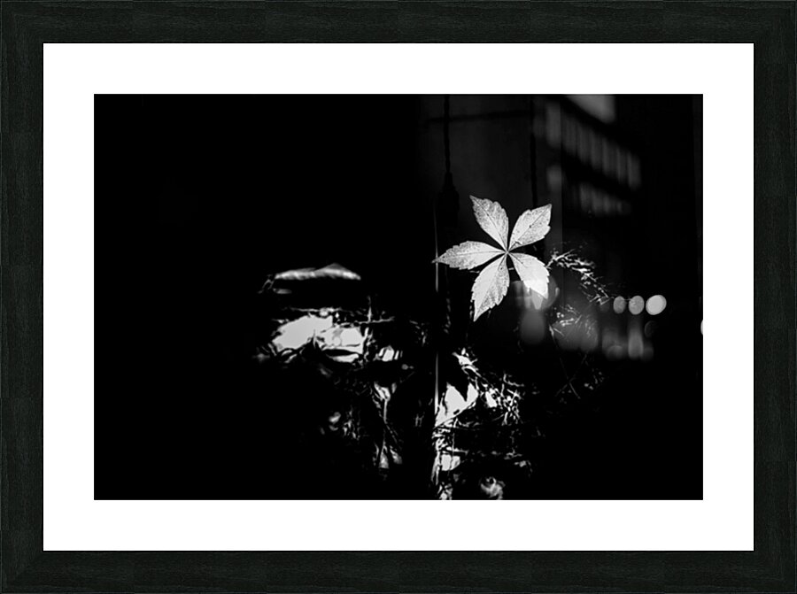 One Small Light Impression et Cadre photo