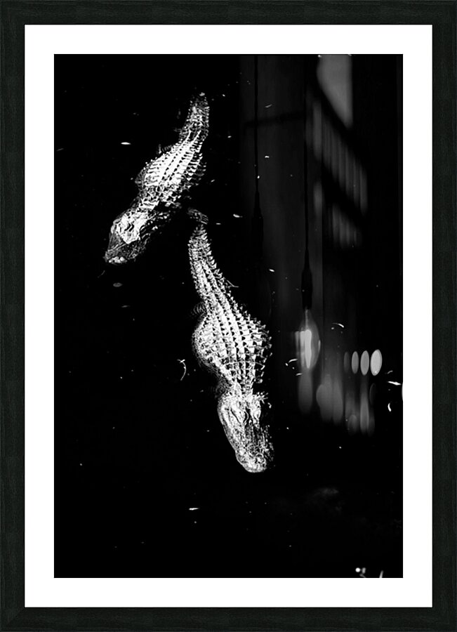 Two Shadows One Current Picture Frame print